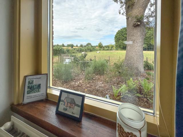 Aussicht vom Ferienhaus