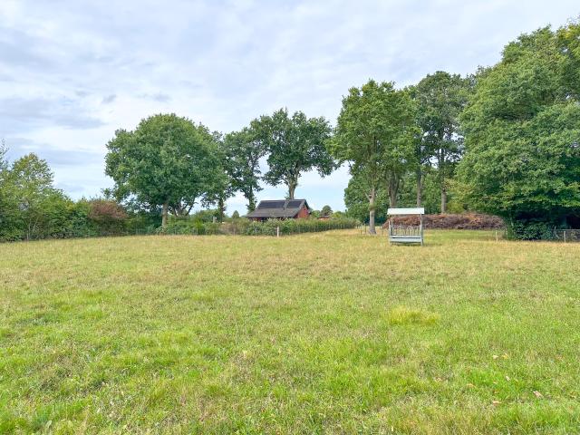 Direkte Umgebung (<1 km)