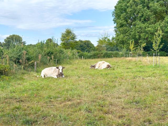 Aussicht vom Ferienhaus