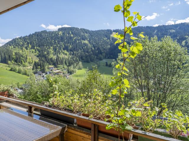 View from Holiday Home