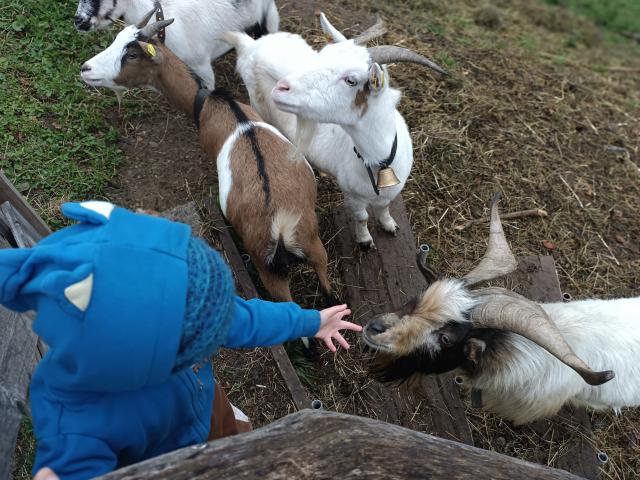 Immediate Surroundings (<1 km)