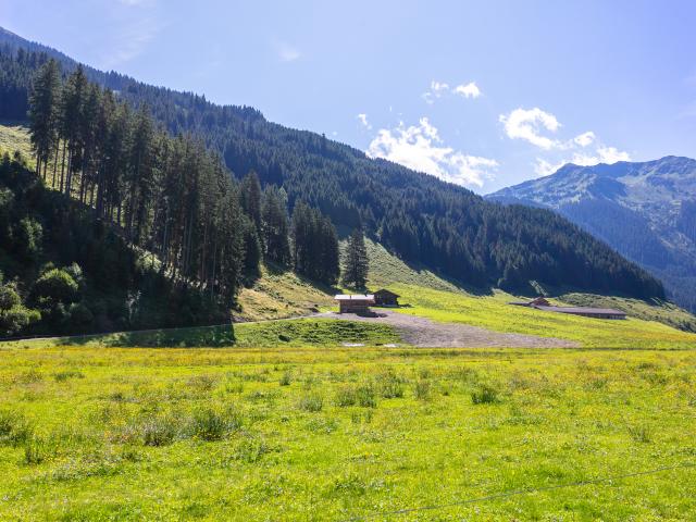 A proximité directe (<1 km)