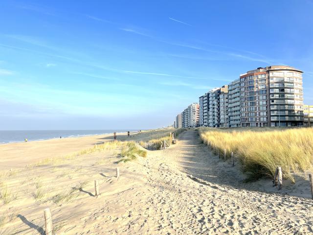 Direkte Umgebung [Sommer] (<1 km)