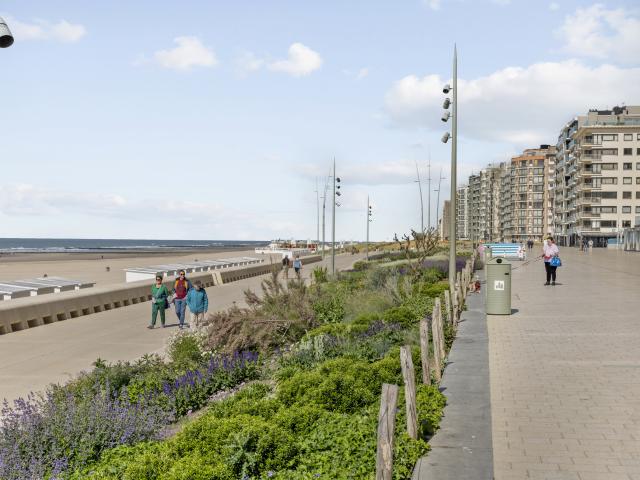 Direkte Umgebung [Sommer] (<1 km)