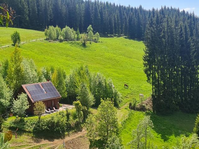 Außenseite Ferienhaus [Sommer]