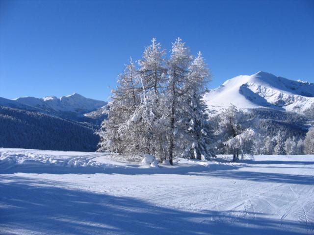 Surroundings (1-5 km)