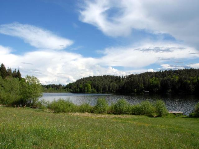 Region (>5 km)