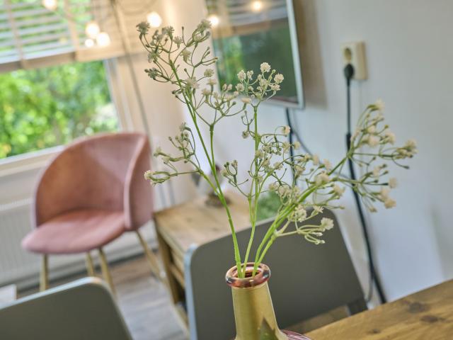 Ambiente / Nahaufnahme