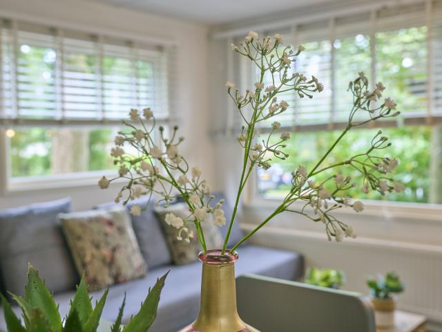 Ambiente / Nahaufnahme