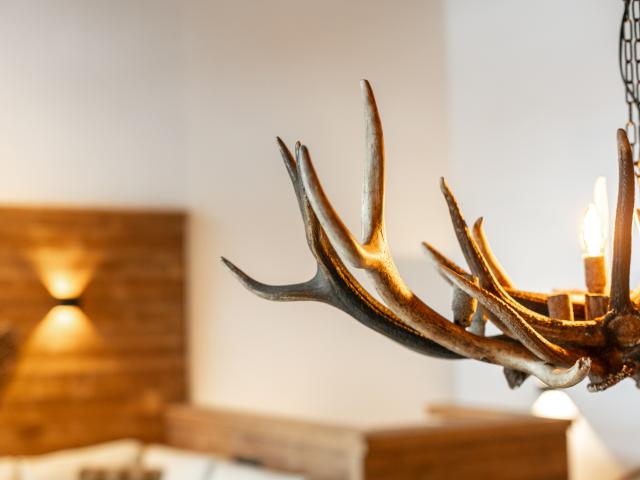 Ambiance / plan rapproché