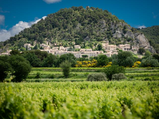 Direkte Umgebung [Sommer] (<1 km)