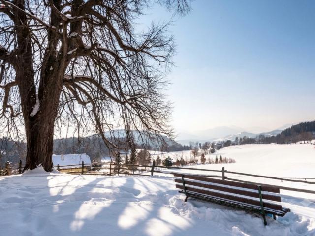 In der Region (>5 km)