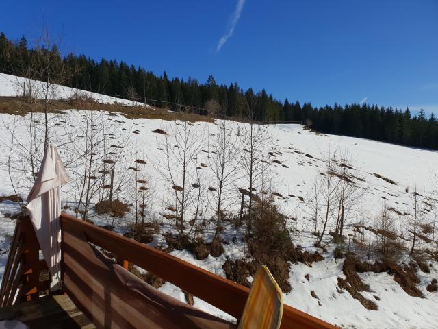 Aussicht vom Ferienhaus