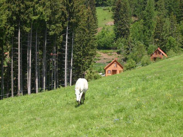 Direkte Umgebung (<1 km)