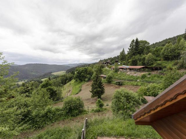 Aussicht vom Ferienhaus [Sommer]