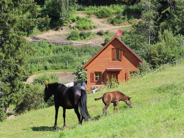 Direkte Umgebung [Sommer] (<1 km)
