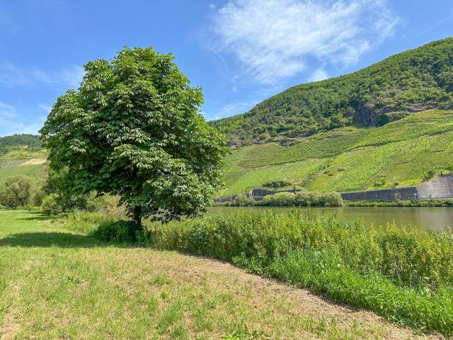 Directe omgeving (<1 km)