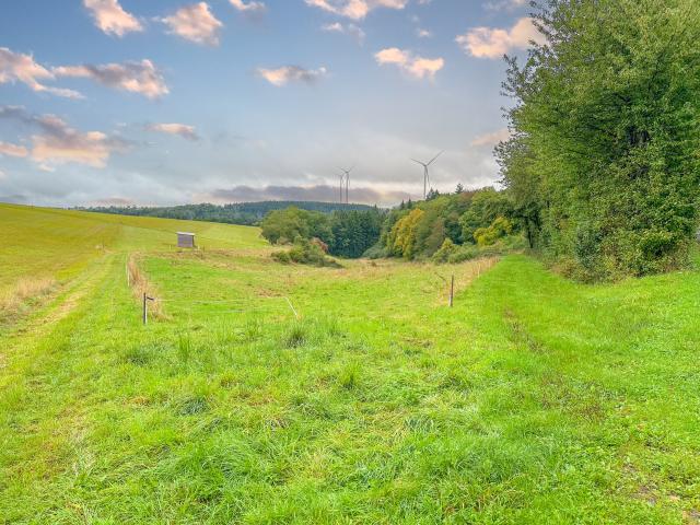 Direkte Umgebung [Sommer] (<1 km)