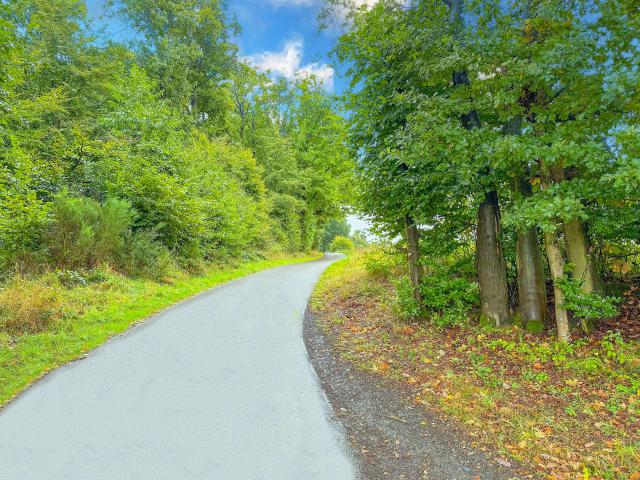 Direkte Umgebung [Sommer] (<1 km)