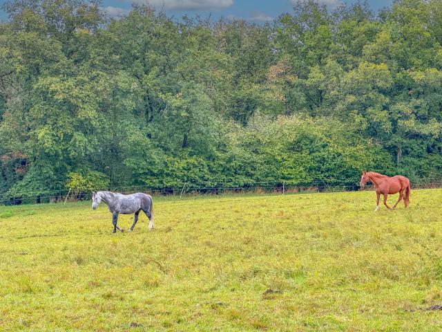 Direkte Umgebung [Sommer] (<1 km)