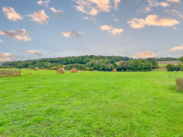Aussicht vom Ferienhaus [Sommer]