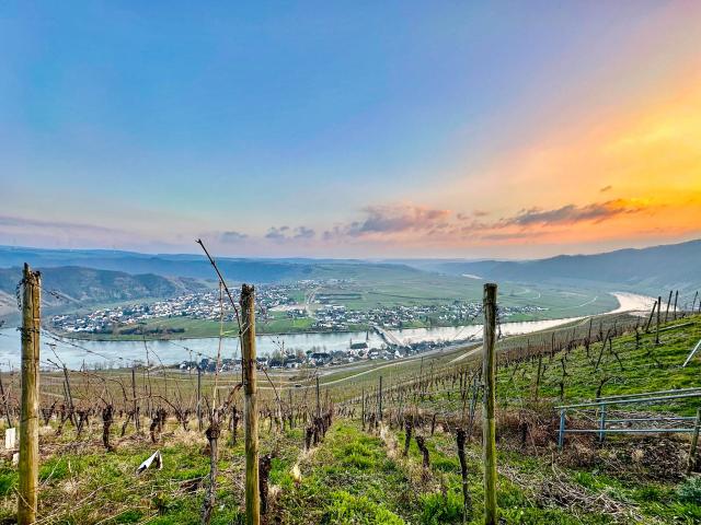 In de regio [zomer] (>5 km)