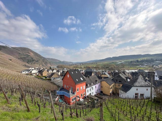 In de regio [zomer] (>5 km)