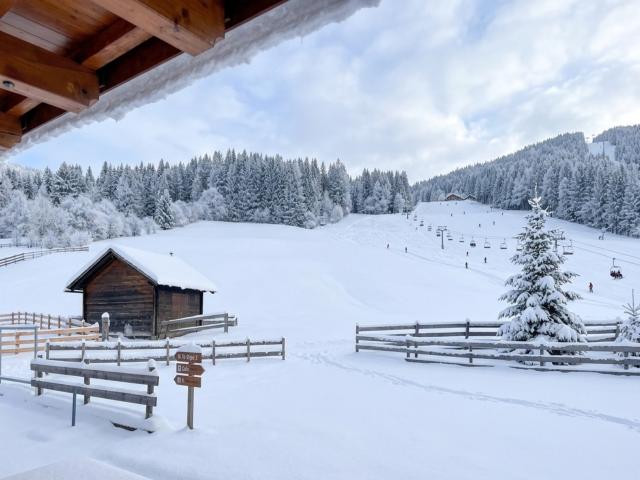 Aussicht vom Ferienhaus
