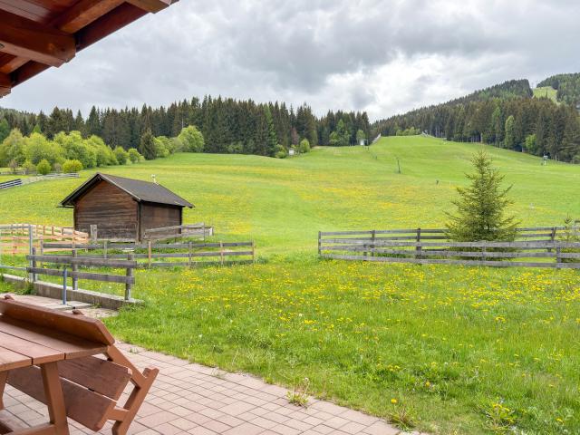 Aussicht vom Ferienhaus