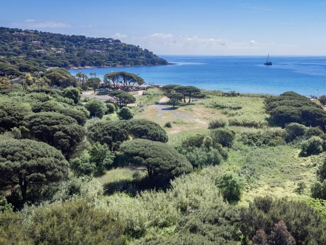 Immediate Surroundings (<1 km)