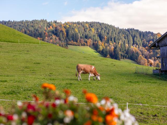 Direkte Umgebung (<1 km)