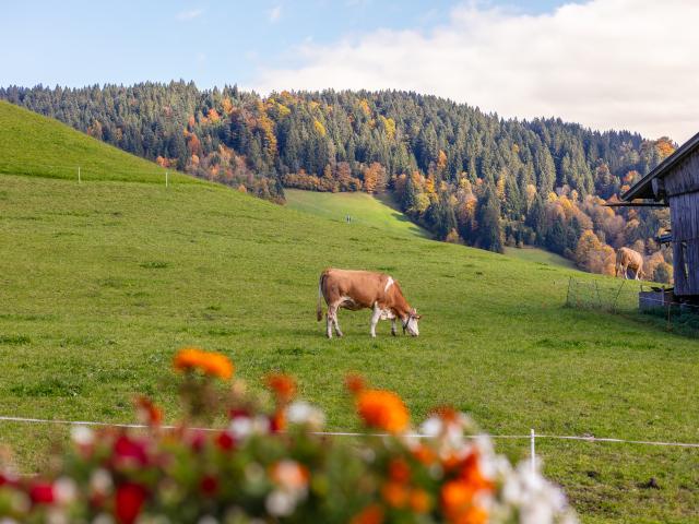 A proximité directe (<1 km)