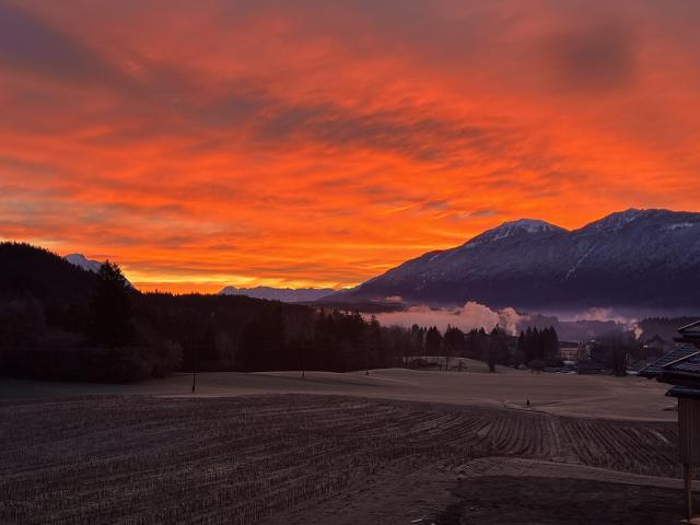 Ambiente / Nahaufnahme
