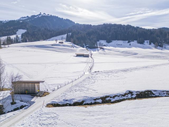 Directe omgeving (<1 km)