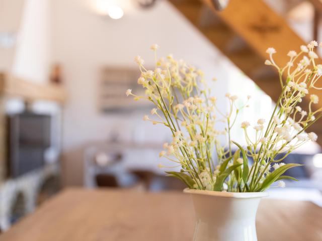 Ambiente / Nahaufnahme