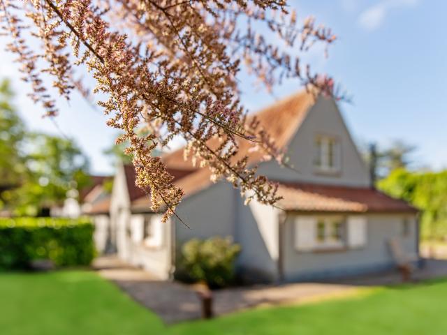 Außenseite Ferienhaus [Sommer]