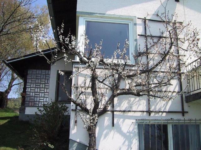 Exterieur vakantiehuis