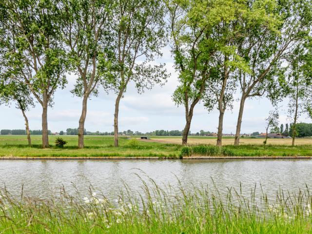 Immediate Surroundings (<1 km)