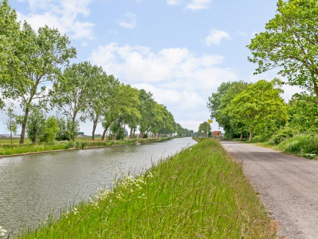 Immediate Surroundings (<1 km)