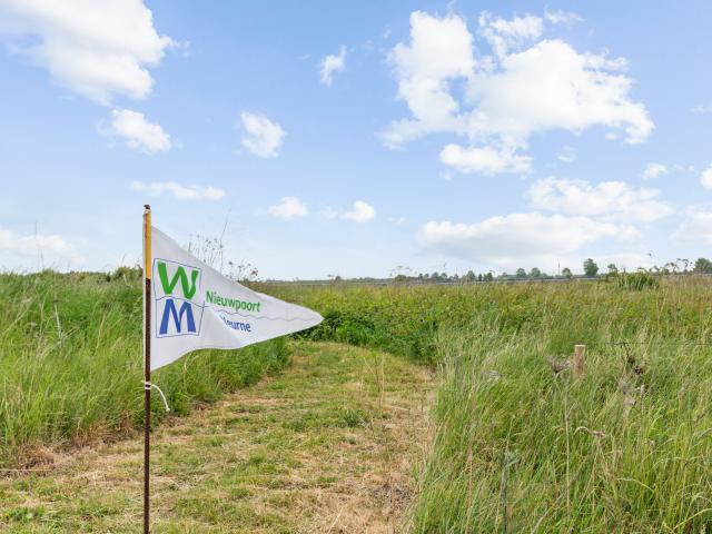 Immediate Surroundings (<1 km)