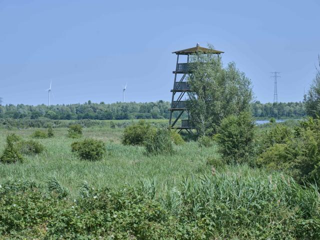 Dans les environs (1-5 km)
