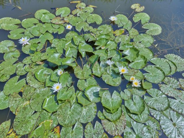 Ambiance / plan rapproché