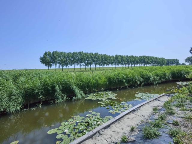 Vue de la maison de vacances