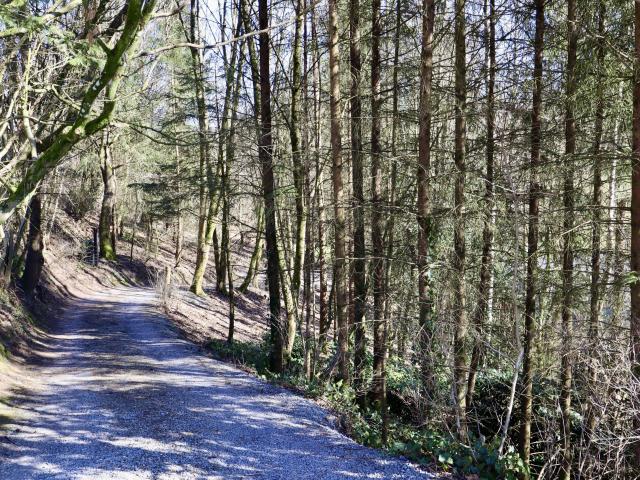 Direkte Umgebung [Sommer] (<1 km)