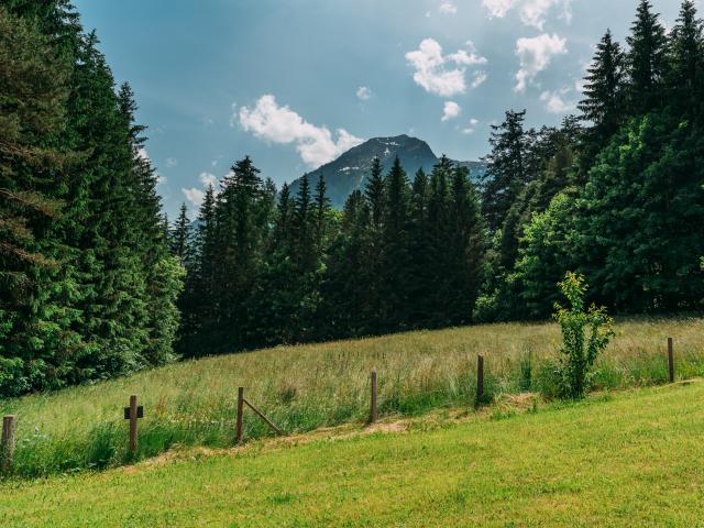 View from Holiday Home