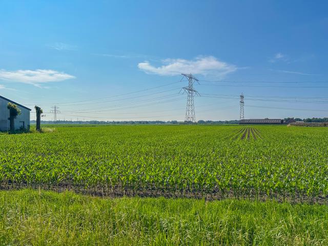 Aussicht vom Ferienhaus