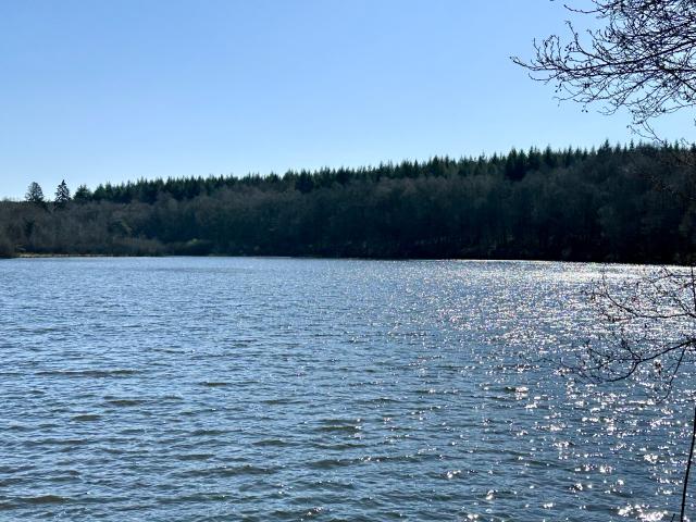 A proximité directe (<1 km)