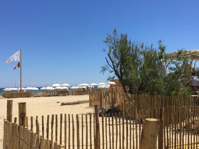 In der Region (>5 km)