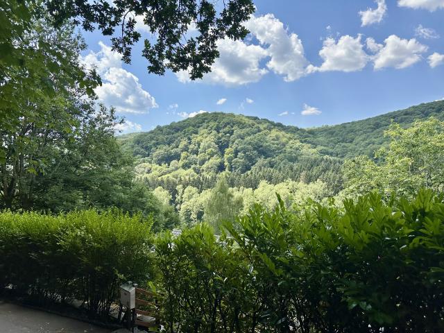 Aussicht vom Ferienhaus