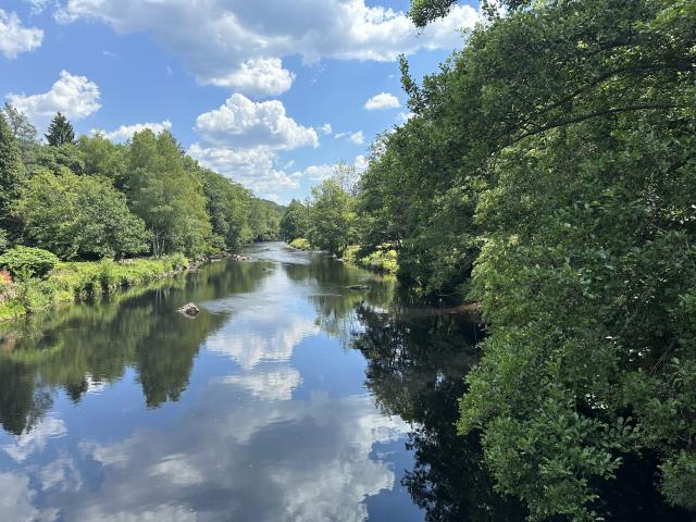 In der Region (>5 km)